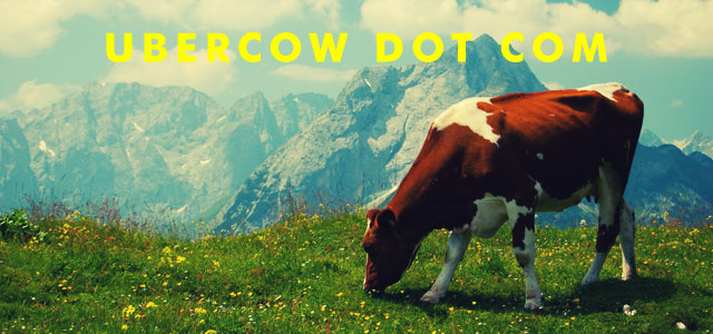 ubercow.com homepage banner